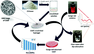 Graphical abstract: Terephthalaldehyde as a good crosslinking agent in crosslinked chitosan hydrogel for the selective removal of anionic dyes