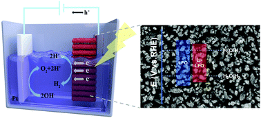 Graphical abstract: Efficient photocathode performance of lithium ion doped LaFeO3 nanorod arrays in hydrogen evolution