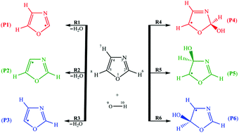 Graphical abstract: Atmospheric chemistry of oxazole: the mechanism and kinetic studies of the oxidation reaction initiated by OH radicals