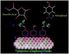 Graphical abstract: Metal-free graphene-based nanoelectrodes for the electrochemical determination of ascorbic acid (AA) and p-nitrophenol (p-NP): implication towards biosensing and environmental monitoring