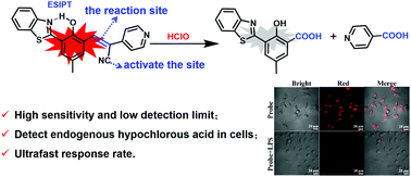 Graphical abstract: An ESIPT-based colorimetric and fluorescent probe with large Stokes shift for the sensitive detection of hypochlorous acid and its bioimaging in cells