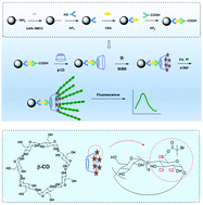 Graphical abstract: Novel fluorescent biosensor for carcinoembryonic antigen determination via atom transfer radical polymerization with a macroinitiator