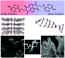 Graphical abstract: Characteristics of the pH-regulated aggregation-induced enhanced emission (AIEE) and nanostructure orchestrate via self-assembly of naphthalenediimide–tartaric acid bola-amphiphile: role in cellular uptake