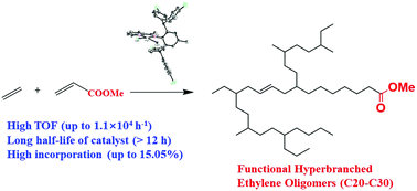 Graphical abstract: Efficient incorporation of a polar comonomer for direct synthesis of hyperbranched polar functional ethylene oligomers