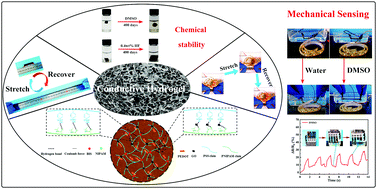 Graphical abstract: Conductive hydrogel-based flexible strain sensors with superior chemical stability and stretchability for mechanical sensing in corrosive solvents