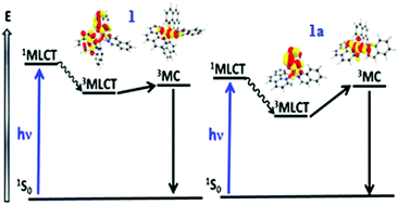 Graphical abstract: Effect of the electronic structure on the robustness of ruthenium(ii) bis-phenanthroline compounds for photodissociation of the co-ligand: synthesis, structural characterization, and density functional theory study