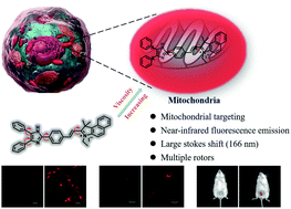 Graphical abstract: A near-infrared fluorescent probe for monitoring viscosity in living cells, zebrafish and mice