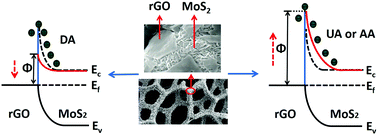 Graphical abstract: Fabrication of 3D Ni/NiO/MoS2/rGO foam for enhancing sensing performance