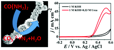 Graphical abstract: Hierarchical NiCo pearl strings as efficient electrocatalysts for urea electrooxidation