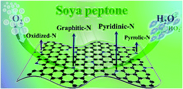 Graphical abstract: N-Doped porous biocarbon materials derived from soya peptone as efficient electrocatalysts for the ORR