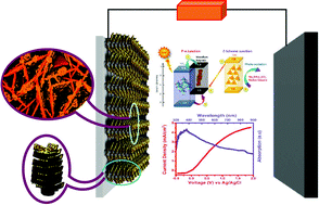 Graphical abstract: Superior light absorbing CdS/vanadium sulphide nanowalls@TiO2 nanorod ternary heterojunction photoanodes for solar water splitting