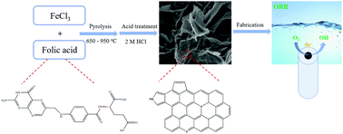 Graphical abstract: Facile pyrolysis approach of folic acid-derived high graphite N-doped porous carbon materials for the oxygen reduction reaction