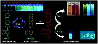Graphical abstract: A novel photochemical sensor based on quinoline-functionalized phenazine derivatives for multiple substrate detection
