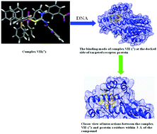 Graphical abstract: Mononuclear copper(i) complexes of triphenylphosphine and N,N′-disubstituted thioureas as potential DNA binding chemotherapeutics