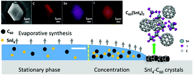 Graphical abstract: Utilizing the coffee-ring effect to synthesize tin tetraiodide intercalated fullerene (C60) microcrystals by evaporative-driven self-assembly with enhanced photoluminescence