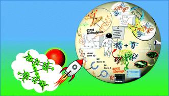 Graphical abstract: Exploring the binding and cleavage activities of nickelII complexes towards DNA and proteins