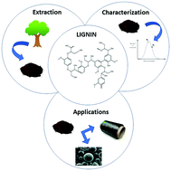Graphical abstract: Revisiting lignin: a tour through its structural features, characterization methods and applications