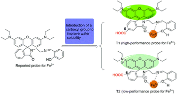 Graphical abstract: Rational design and bioimaging application of water-soluble Fe3+ fluorescent probes