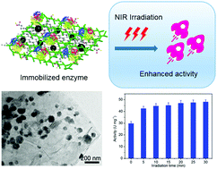 Graphical abstract: Magnetic graphene oxide nanocomposites as an effective support for lactase immobilization with improved stability and enhanced photothermal enzymatic activity