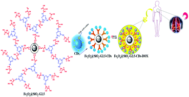 Graphical abstract: A photoluminescent folic acid-derived carbon dot functionalized magnetic dendrimer as a pH-responsive carrier for targeted doxorubicin delivery