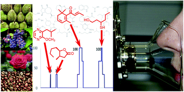 Graphical abstract: Identification of key odorants in complex mixtures occurring in nature