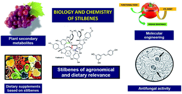 Graphical abstract: Phytostilbenes as agrochemicals: biosynthesis, bioactivity, metabolic engineering and biotechnology