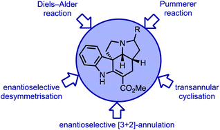 Graphical abstract: Synthetic strategies for the ibophyllidine alkaloids