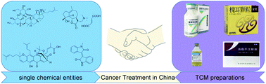 Graphical abstract: Traditional Chinese medicine (TCM) as a source of new anticancer drugs