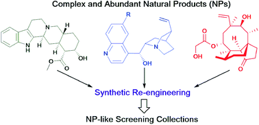 Graphical abstract: Re-engineering natural products to engage new biological targets