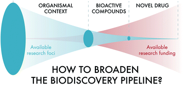 Graphical abstract: Unlocking the potential of marine biodiscovery