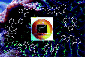 Graphical abstract: Marine alkaloids as bioactive agents against protozoal neglected tropical diseases and malaria