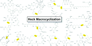 Graphical abstract: Heck macrocyclization in natural product total synthesis