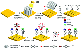 Graphical abstract: Low-cost and high sensitivity glucose sandwich detection using a plasmonic nanodisk metasurface