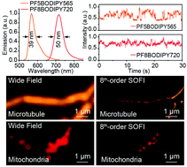 Graphical abstract: Narrow-band polymer dots with pronounced fluorescence fluctuations for dual-color super-resolution imaging