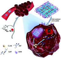 Graphical abstract: A CD44-targeted Cu(ii) delivery 2D nanoplatform for sensitized disulfiram chemotherapy to triple-negative breast cancer