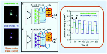 Graphical abstract: Enhanced IR-driven photoelectrochemical responses of CdSe/ZnO heterostructures by up-conversion UV/visible light irradiation