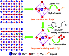 Graphical abstract: Ionic liquid assisted preparation and modulation of the photoluminescence kinetics for highly efficient CsPbX3 nanocrystals with improved stability