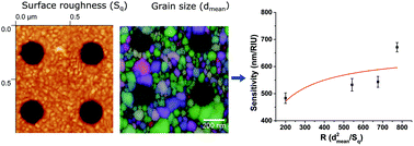 Graphical abstract: Impact of metal crystallinity-related morphologies on the sensing performance of plasmonic nanohole arrays