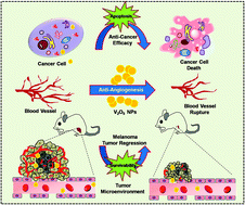 Graphical abstract: Anti-angiogenic vanadium pentoxide nanoparticles for the treatment of melanoma and their in vivo toxicity study