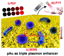 Graphical abstract: A multifunctional plasmonic chip for bacteria capture, imaging, detection, and in situ elimination for wound therapy