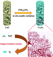 Graphical abstract: Construction of tetrahedral CoO4 vacancies for activating the high oxygen evolution activity of Co3−xO4−δ porous nanosheet arrays