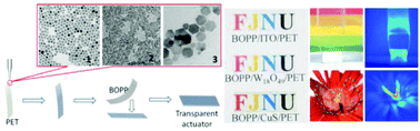 Graphical abstract: Transparent photoactuators based on localized-surface-plasmon-resonant semiconductor nanocrystals: a platform for camouflage soft robots