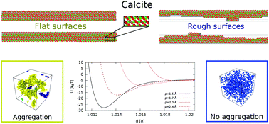 Graphical abstract: The influence of surface roughness on the adhesive interactions and phase behavior of suspensions of calcite nanoparticles