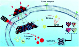 Graphical abstract: Integration of a porous coordination network and black phosphorus nanosheets for improved photodynamic therapy of tumor