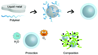 Graphical abstract: Water-processable liquid metal nanoparticles by single-step polymer encapsulation