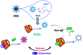 Graphical abstract: Carbon dots-inspired fluorescent cyclodextrins: competitive supramolecular “off–on” (bio)sensors