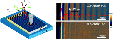 Graphical abstract: Manipulating phonon polaritons in low loss 11B enriched hexagonal boron nitride with polarization control