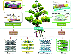 Graphical abstract: Solution-gated transistors of two-dimensional materials for chemical and biological sensors: status and challenges