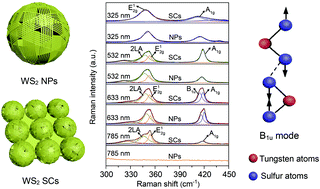 Graphical abstract: Curved 2D WS2 nanostructures: nanocasting and silent phonon mode