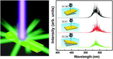 Graphical abstract: Unprecedented random lasing in 2D organolead halide single-crystalline perovskite microrods